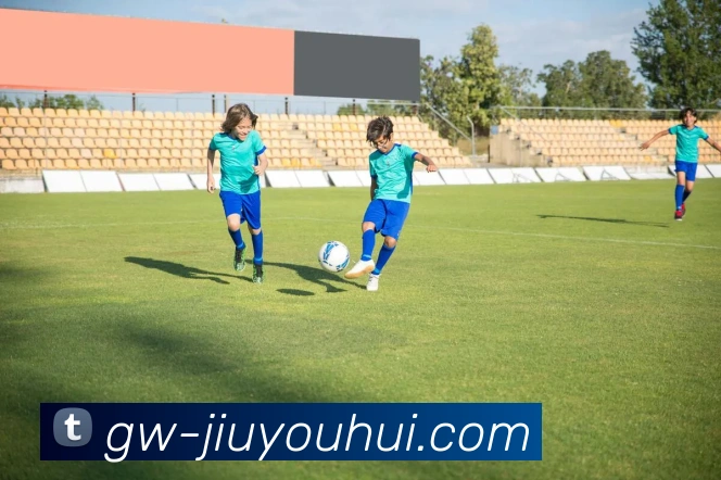 J9九游会官网平台生态图